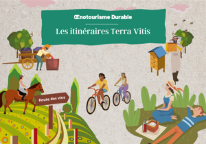 itineraires oenotourisme durable terra vitis