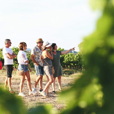 oenotourisme visite domaines viticoles